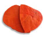 Tortillas - Orange