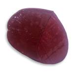 Tortillas - Blood Red