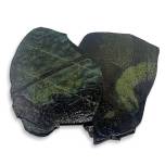 Tortillas - Camo Green