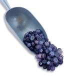 Fire Polished Millefiore - Purple Mix