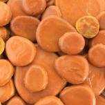 Terra Glass Pebbles