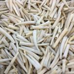 White Sea Spines